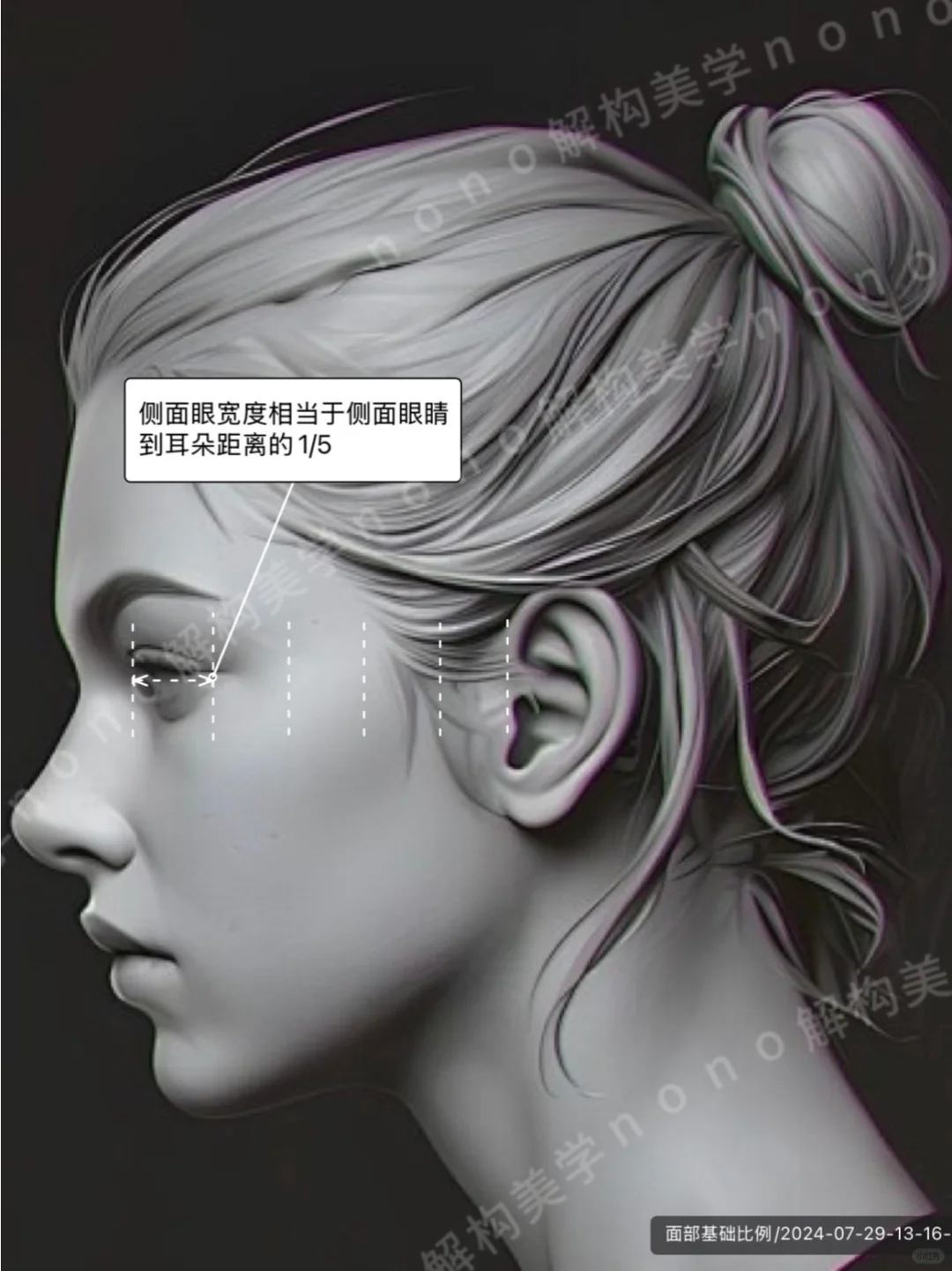 面部比例不止三庭五眼