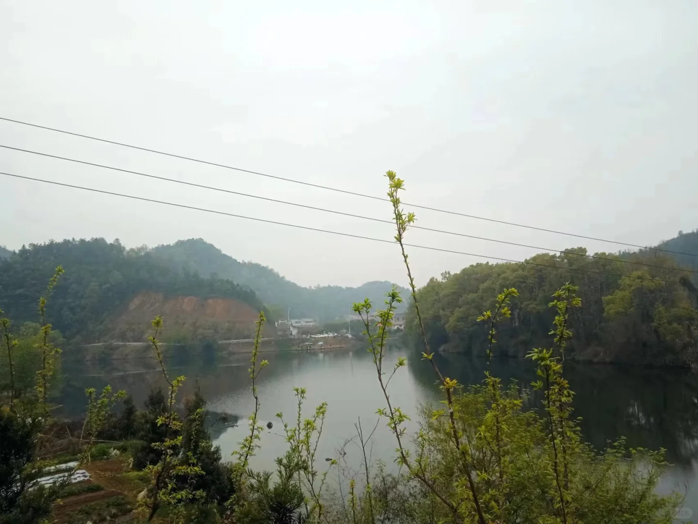 1逐梦浏河春色里，觅诗远足到清明(一)