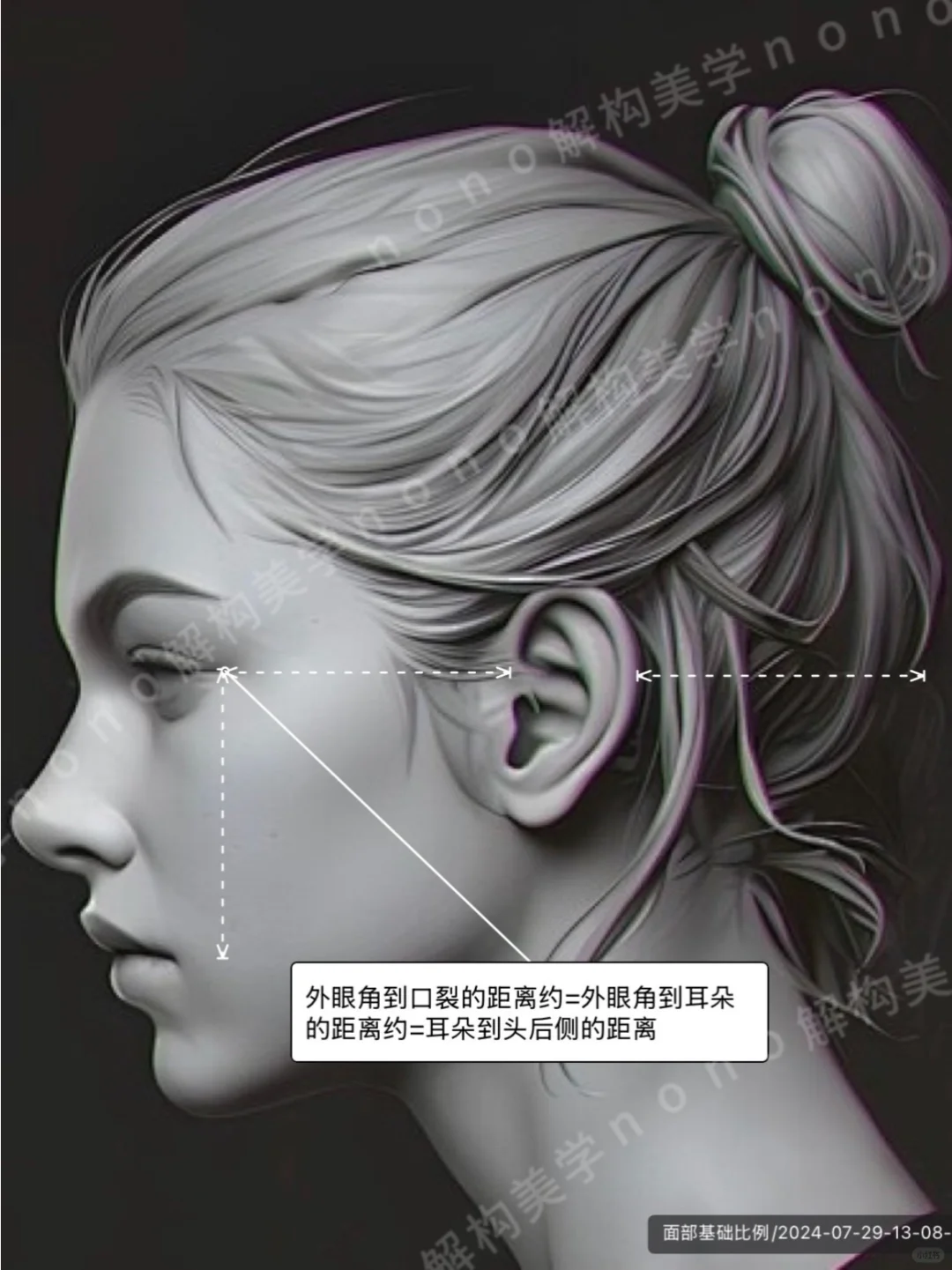 面部比例不止三庭五眼