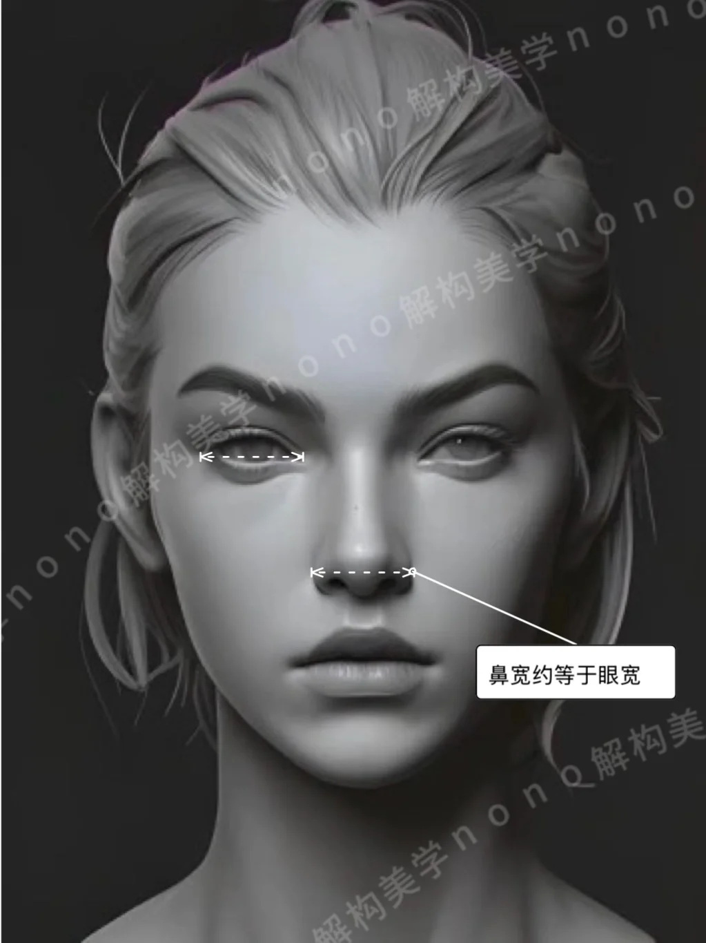 面部比例不止三庭五眼
