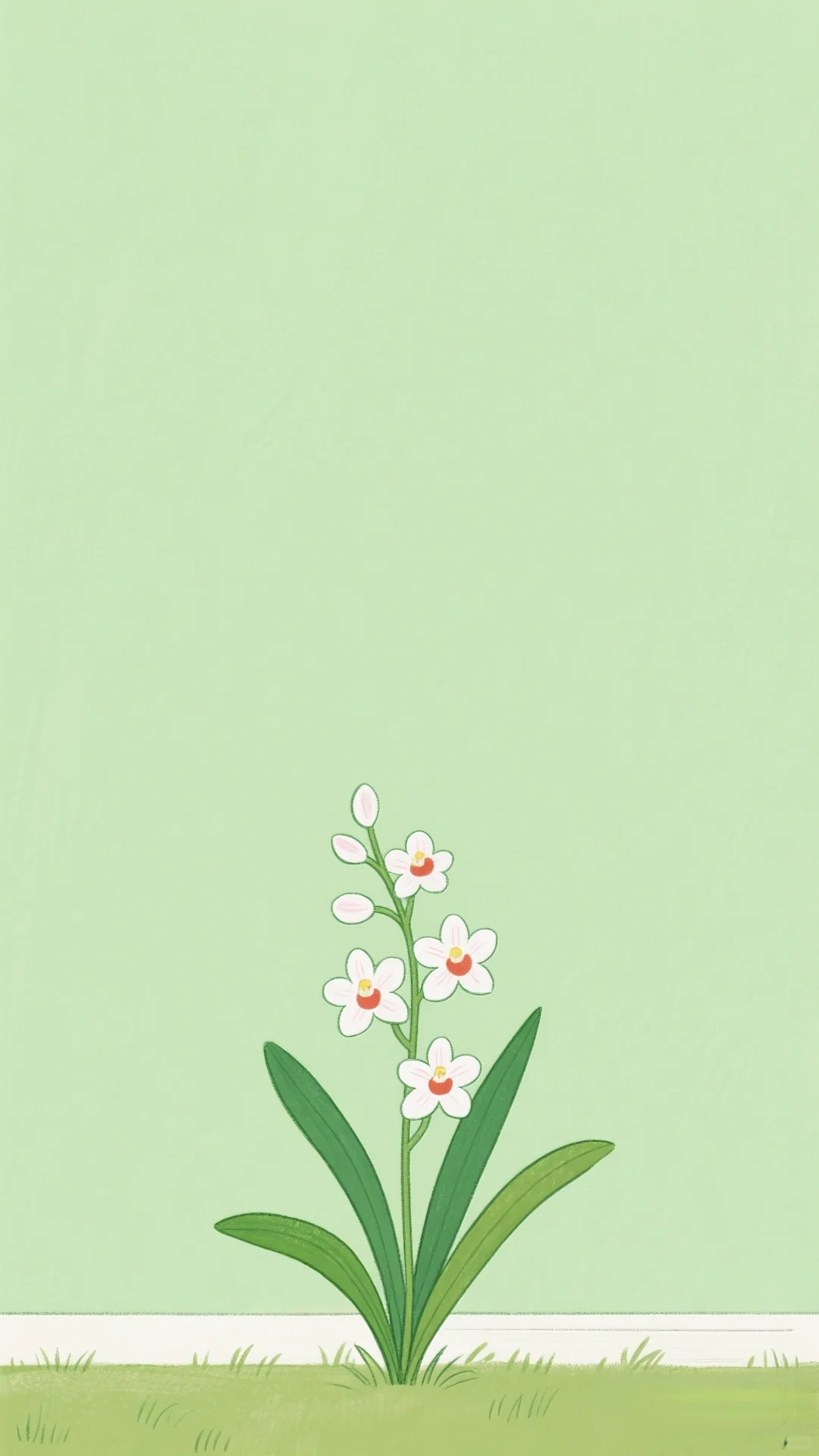 简约壁纸┋纯色背景图
