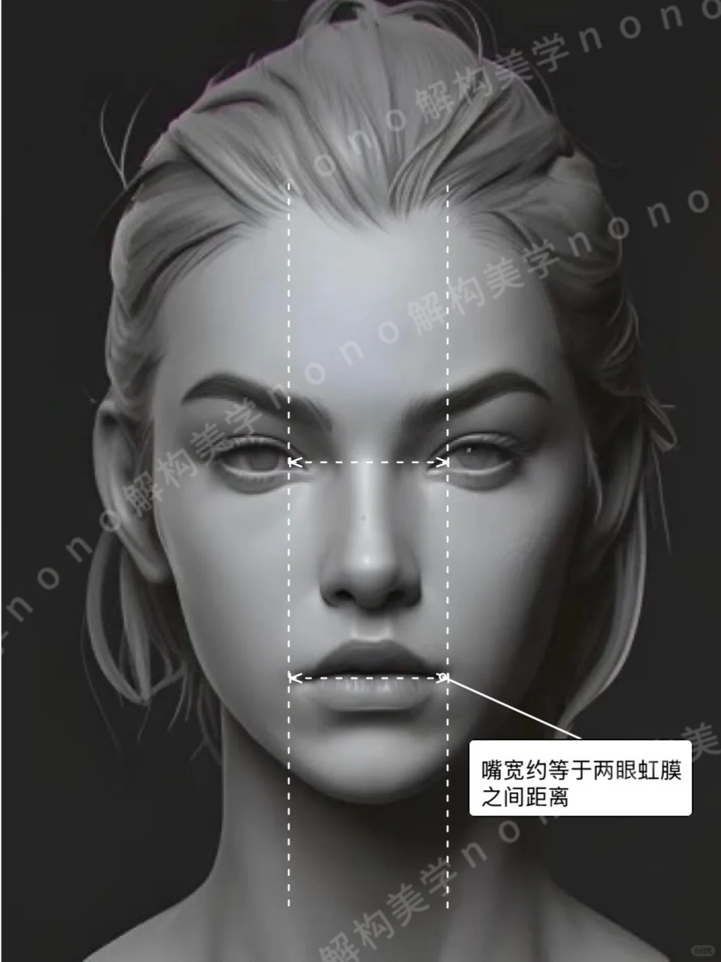 面部比例不止三庭五眼