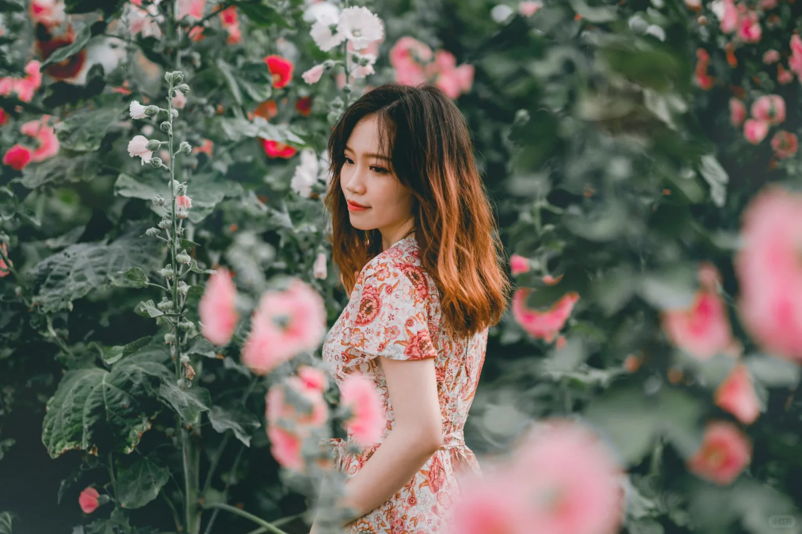 🌸花丛中的浪漫诗篇 | 春日清新写真集