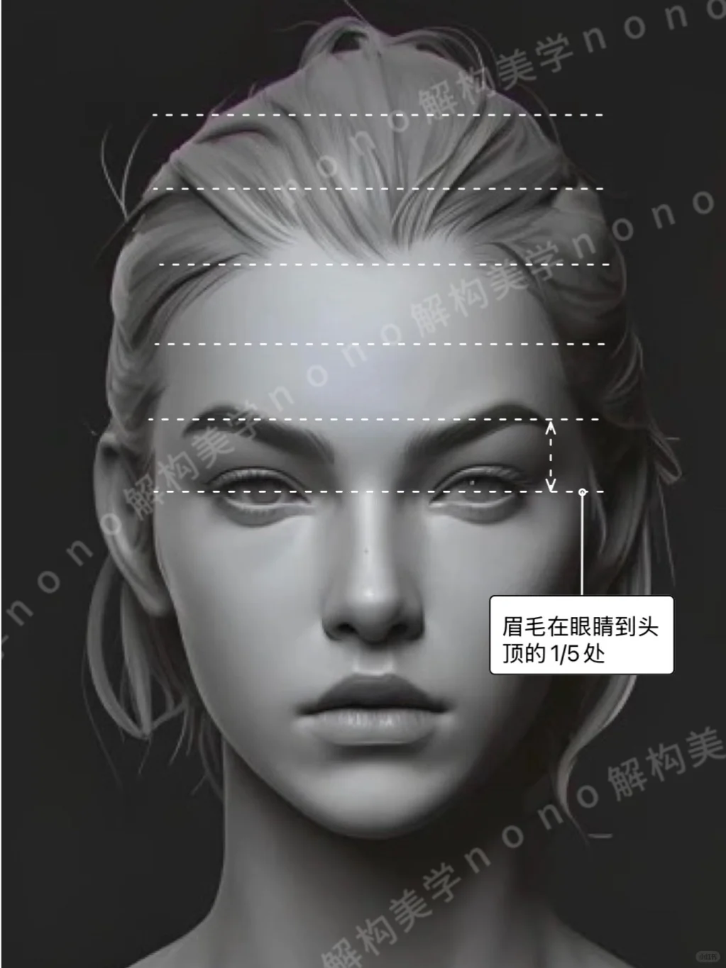 面部比例不止三庭五眼