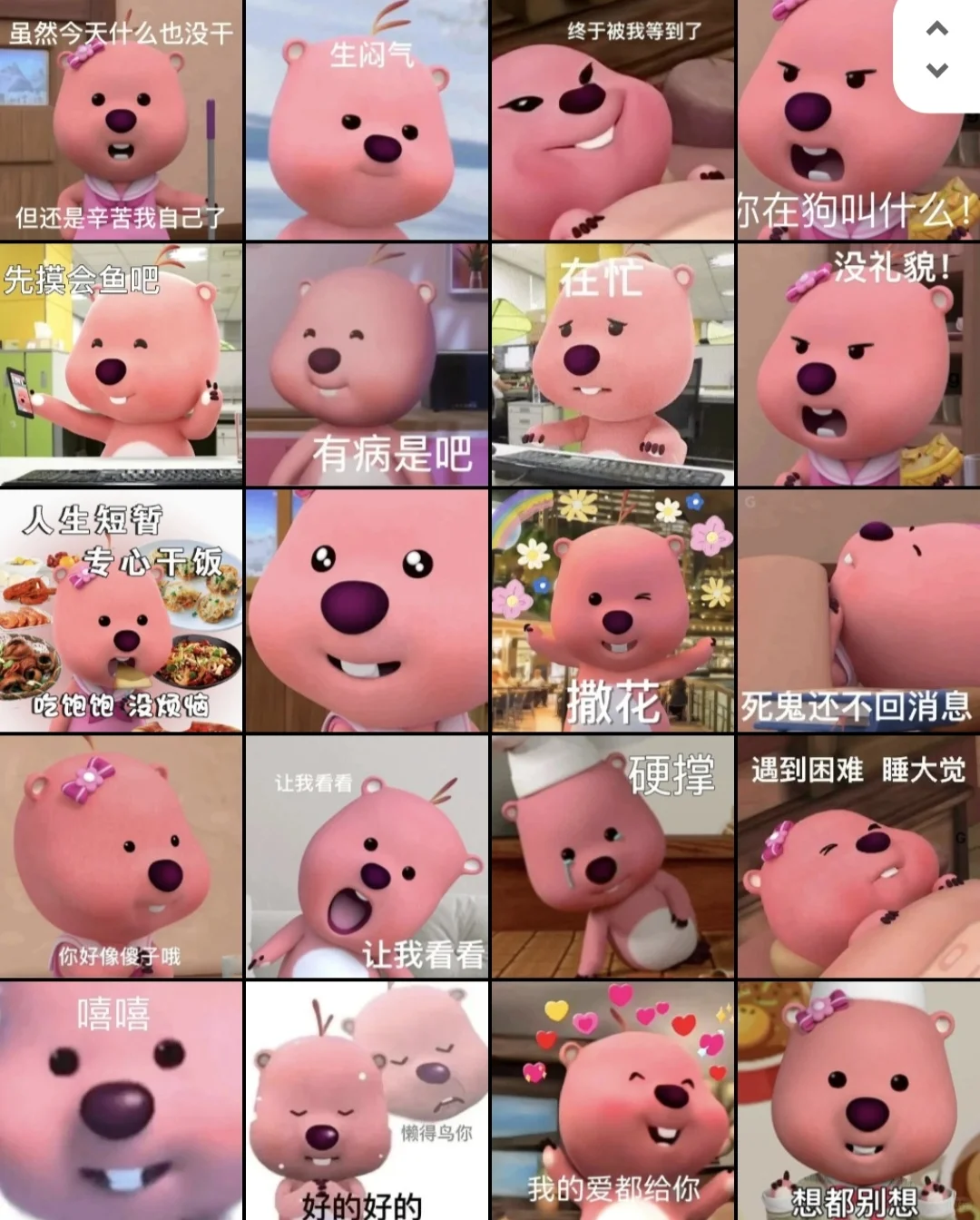 loopy露比好用的表情包整理