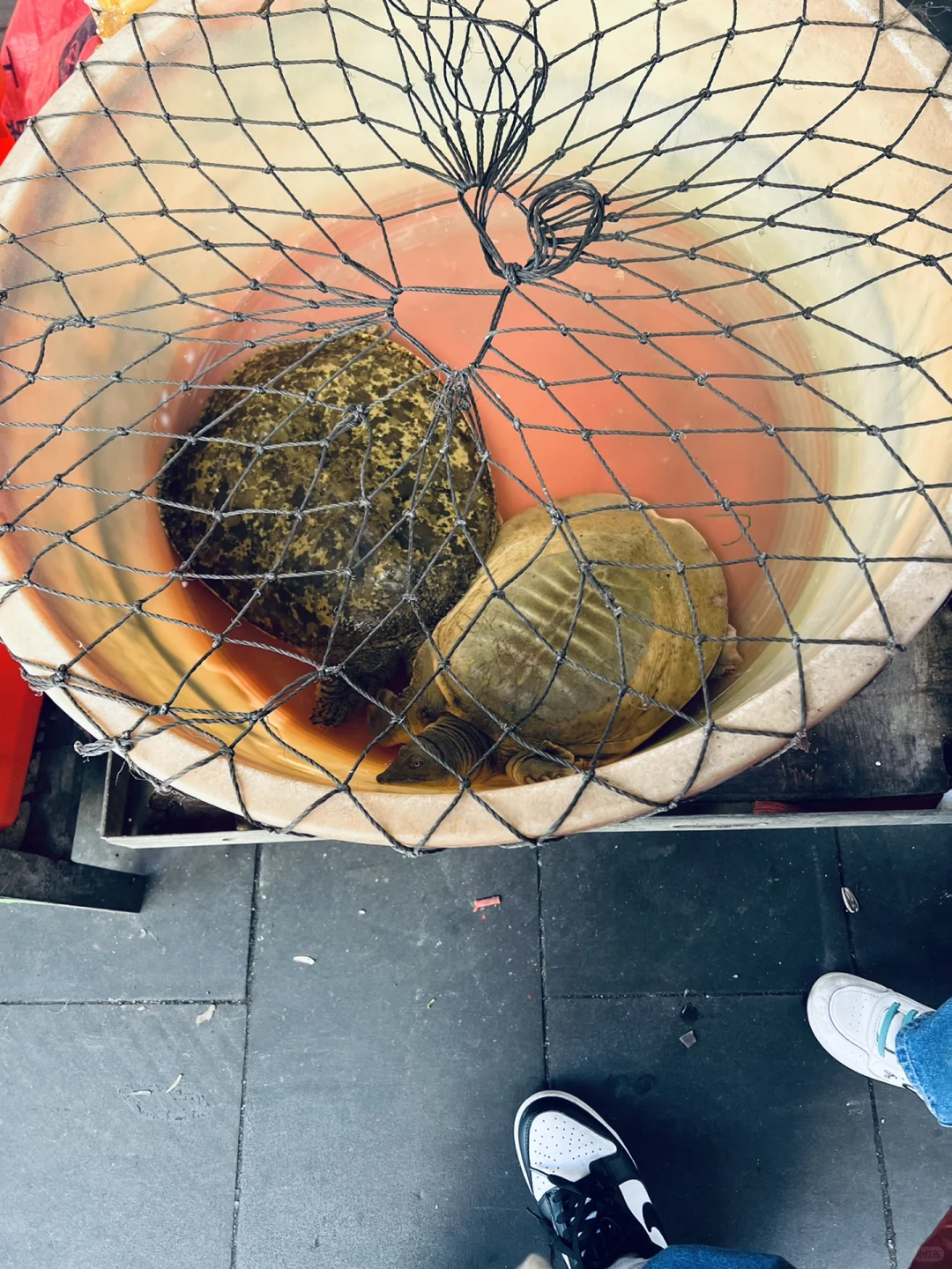 纪念韩哎呦的第一次坐飞机✈️
