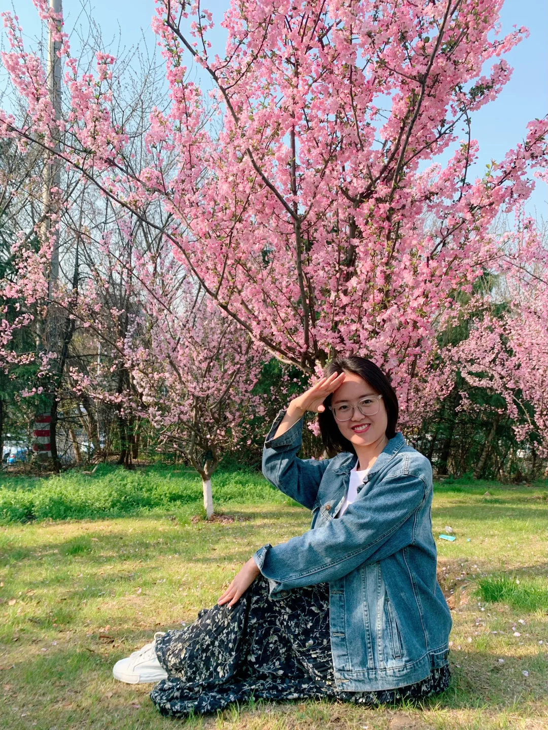 趁着樱花盛开，与自己赴一场春日之约～