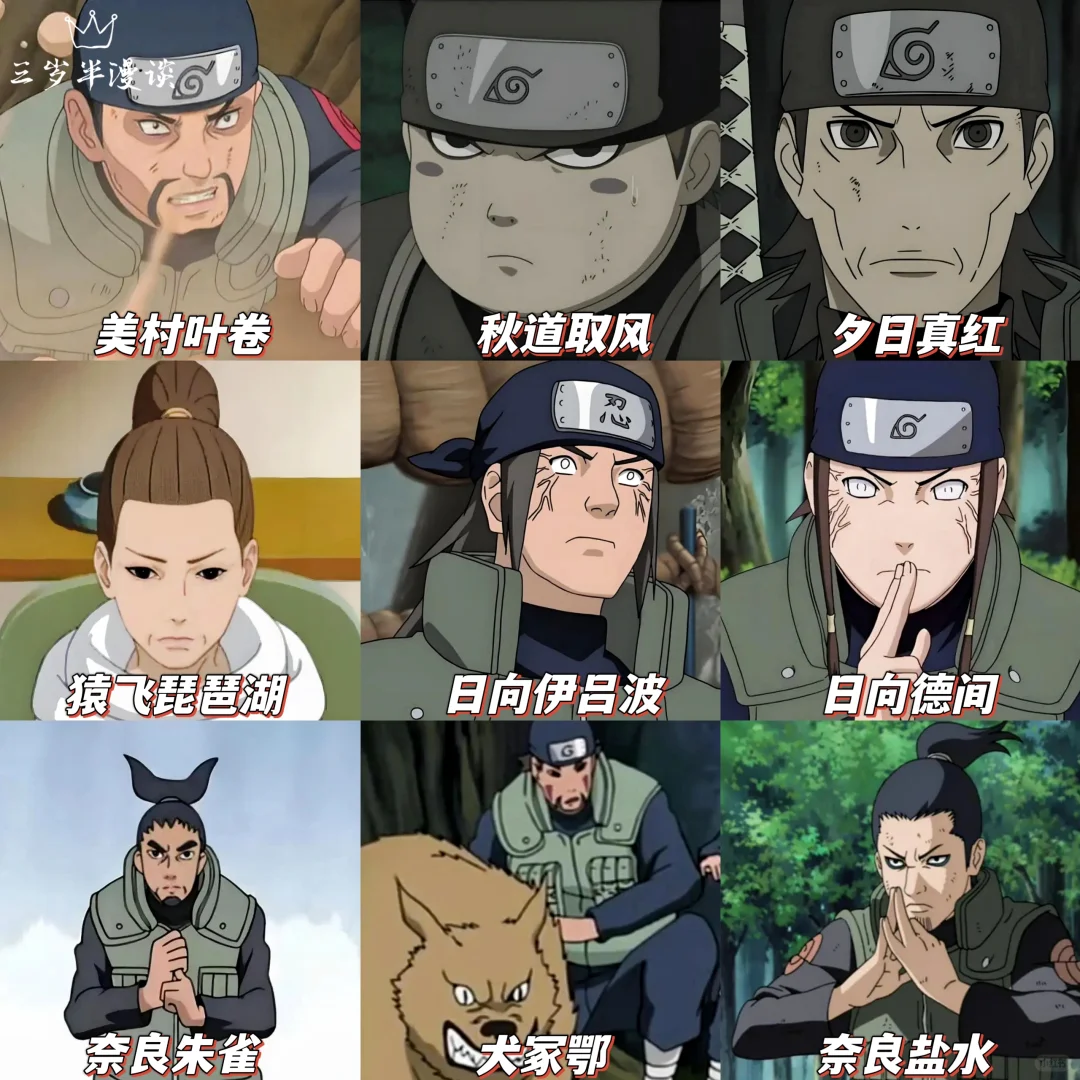 “木叶村的冷门上忍，老粉都不一定认识”