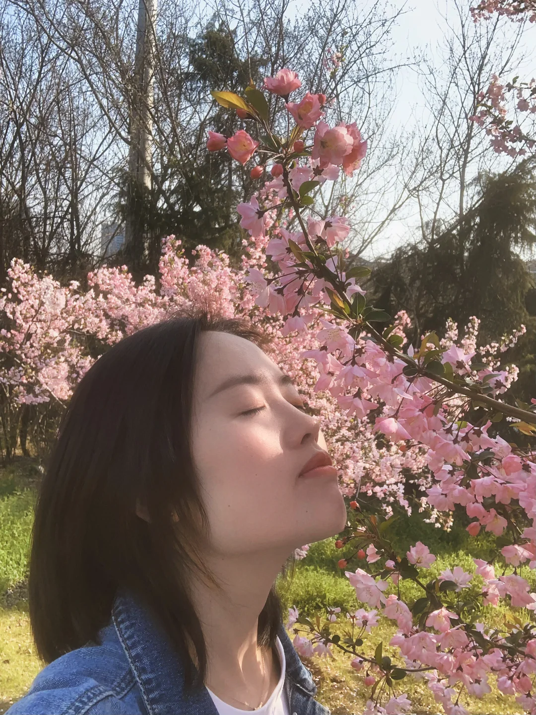 趁着樱花盛开，与自己赴一场春日之约～
