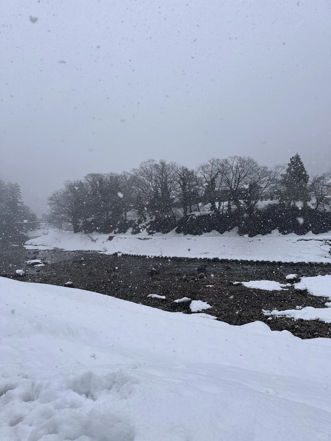 🇯🇵日本 白川鄉合掌村🛖冰雪王國世界❄️