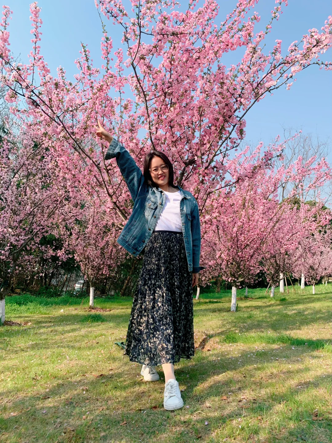趁着樱花盛开，与自己赴一场春日之约～