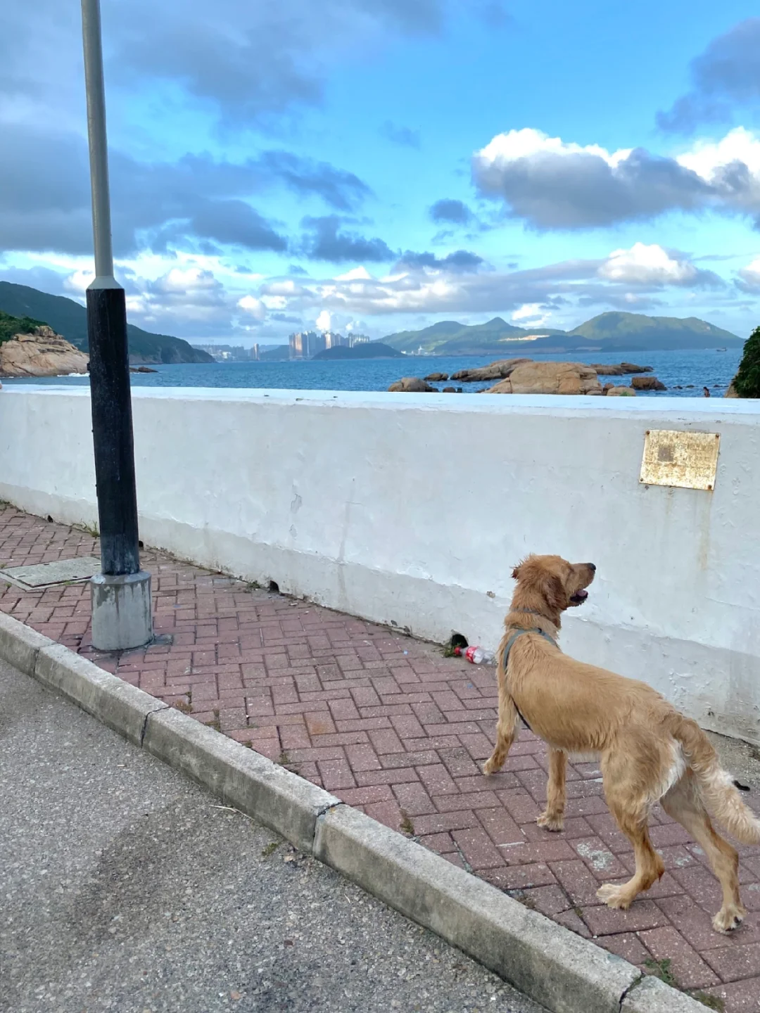 香港的海岛好美 🐚◟⁺𓇼𓂂𓈒𓏸