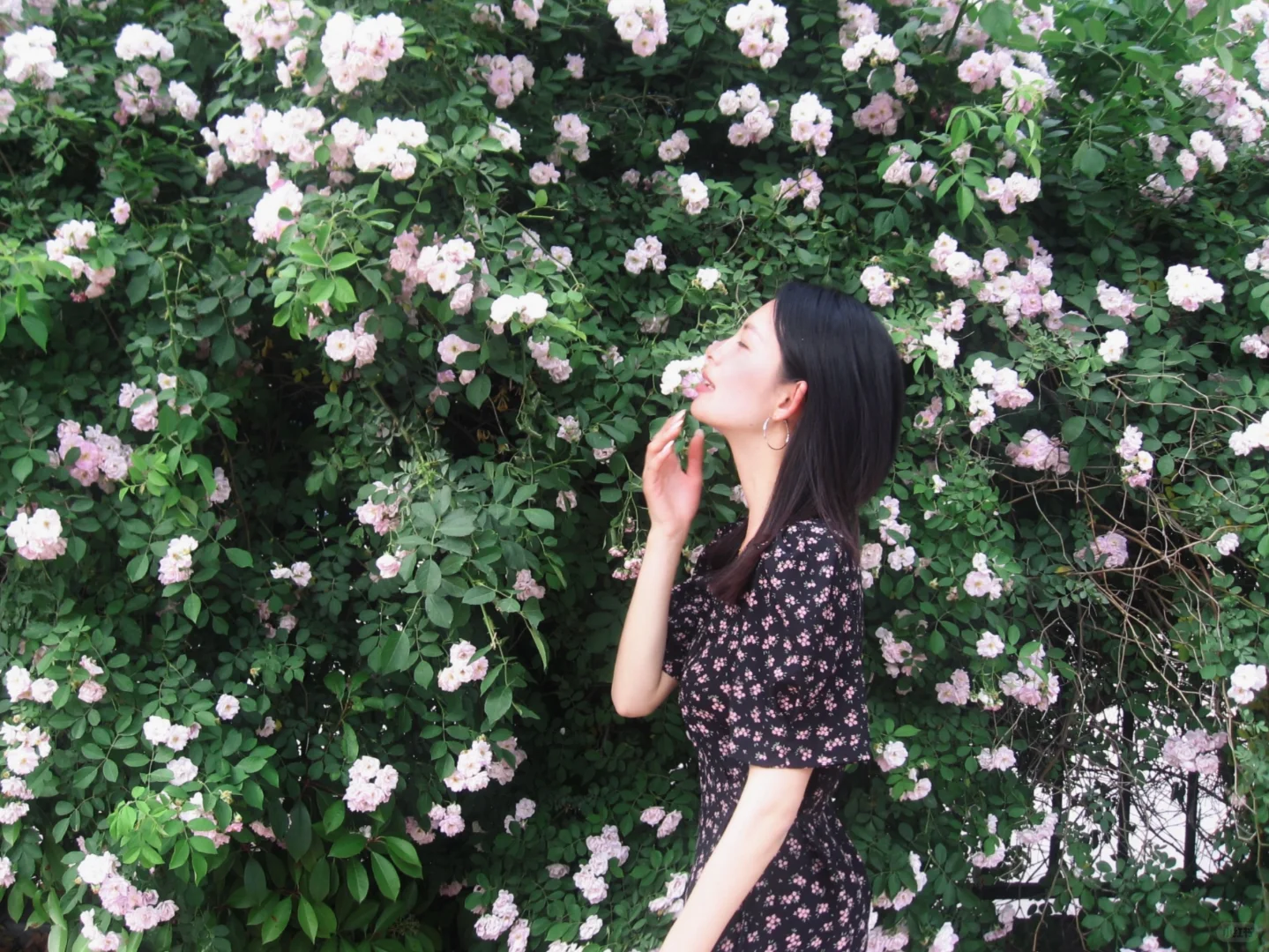 今儿不做老板今儿做美女