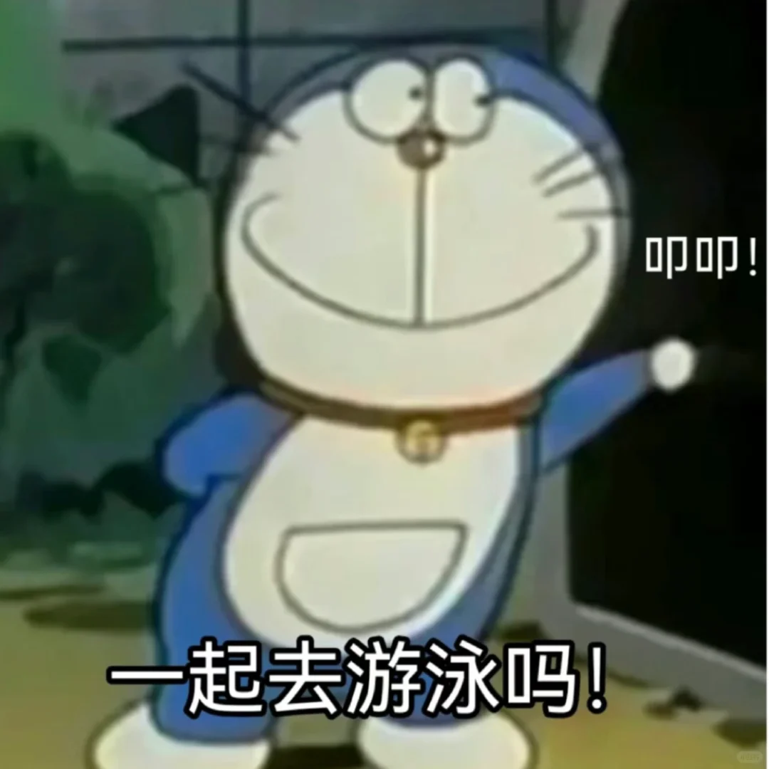 游泳新手入坑以来买的杂七杂八