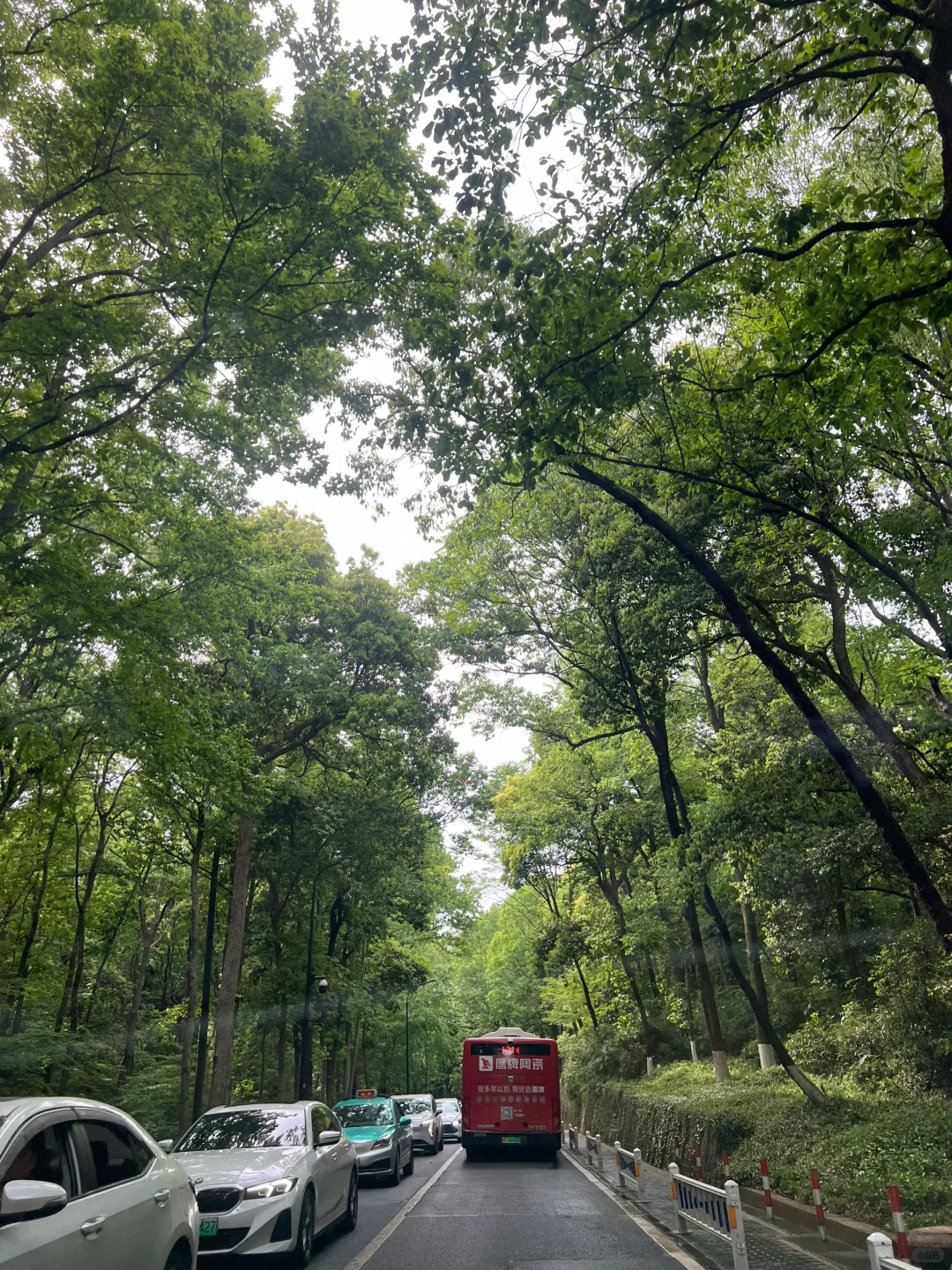 竹下乘凉，避世放空🍃和小姐妹一起噶是非吧