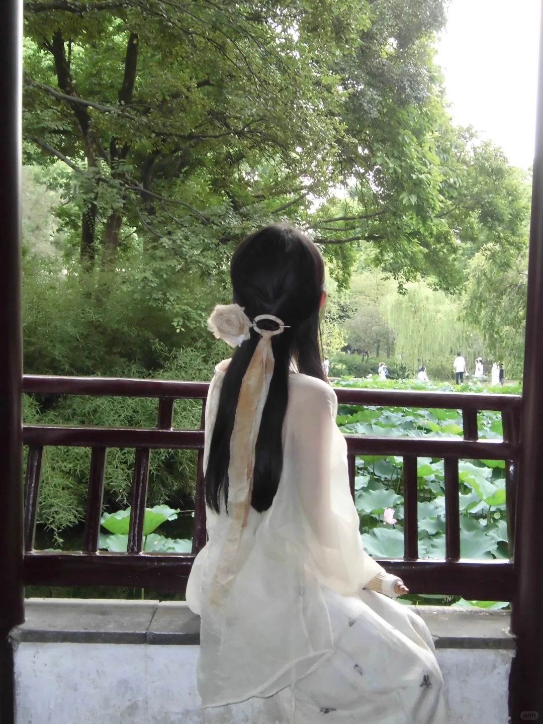 朋友说放弃幼态审美的我鲨疯了…