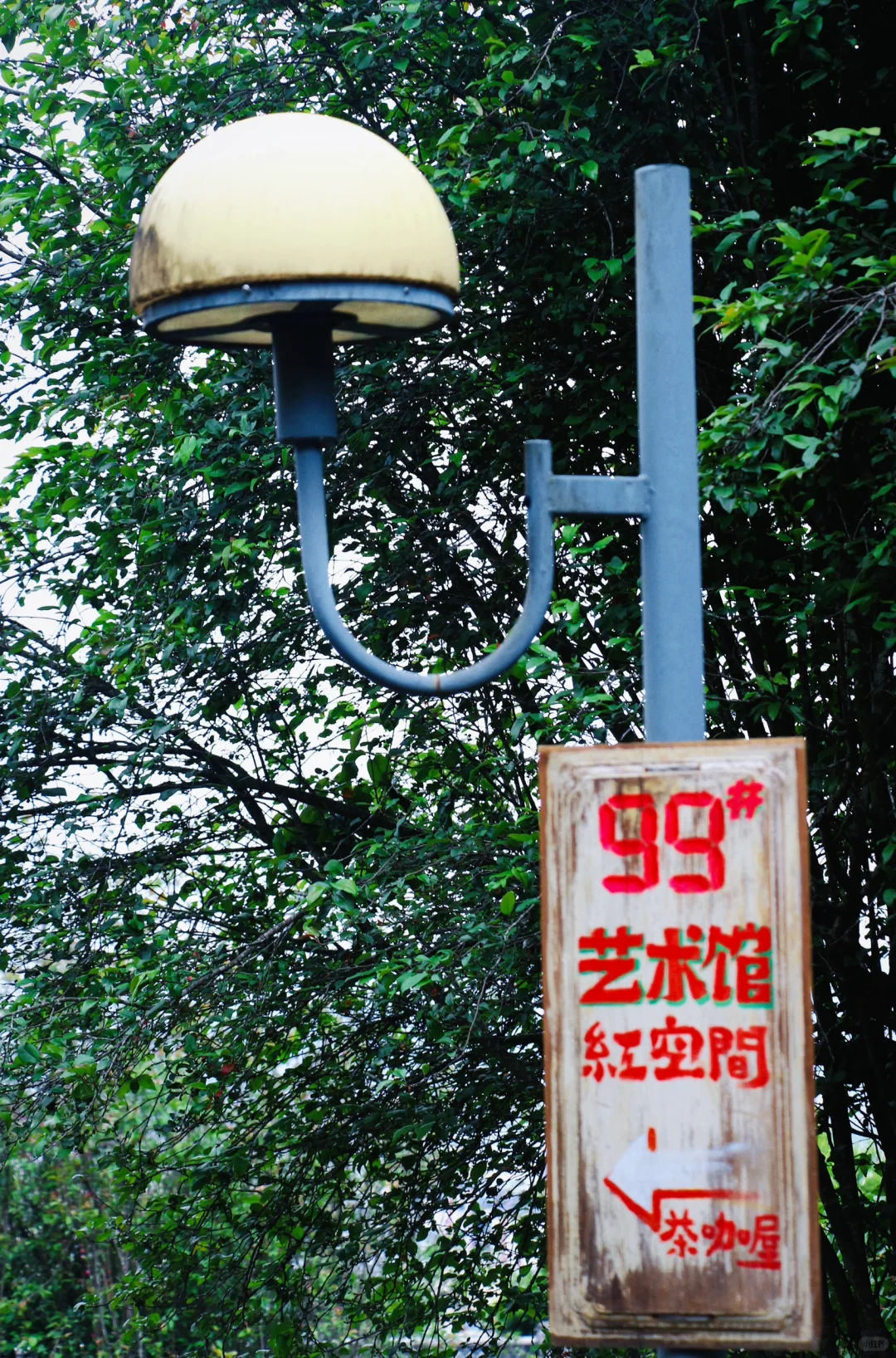 这里