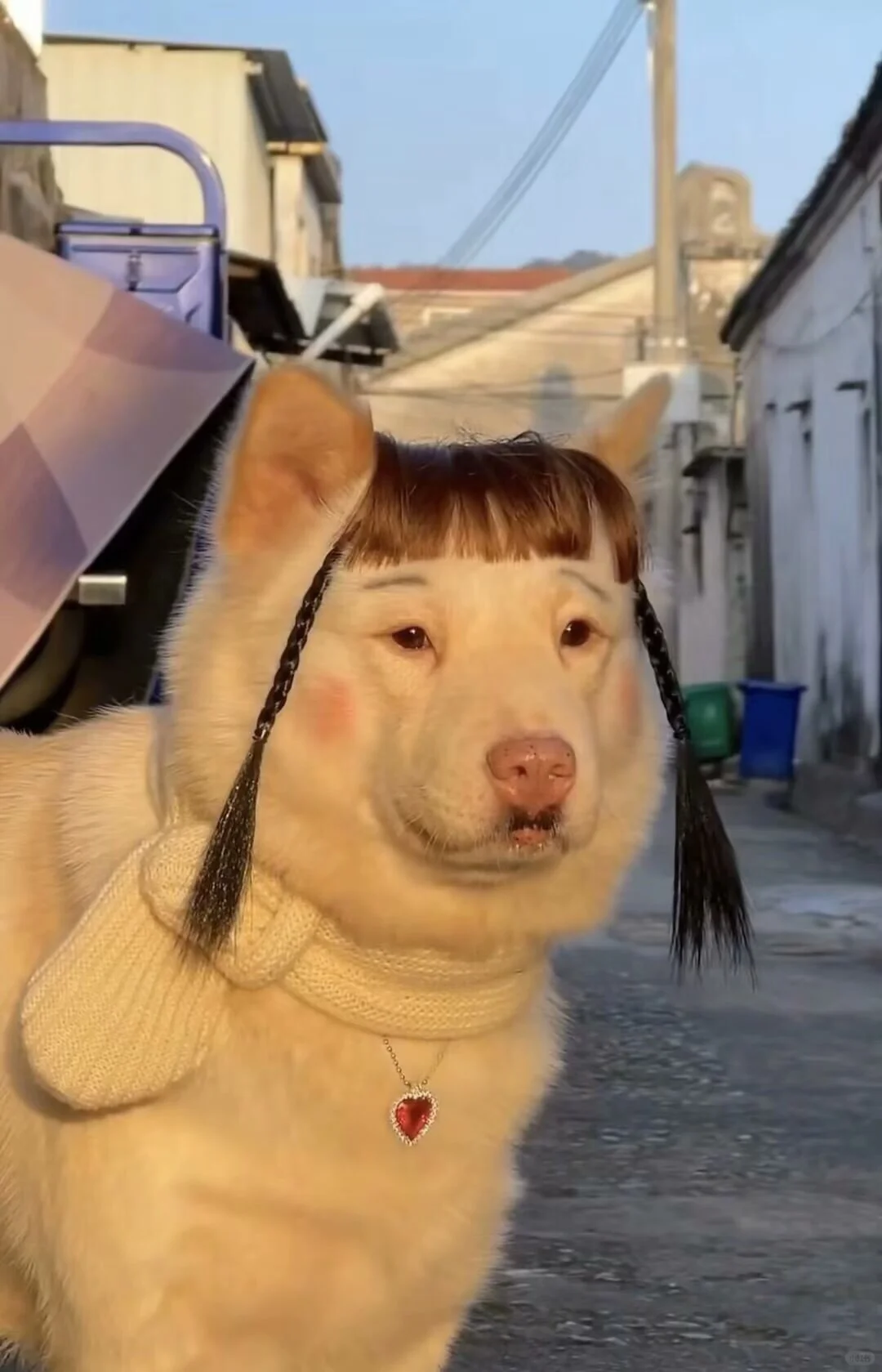 御姐还不好吗？