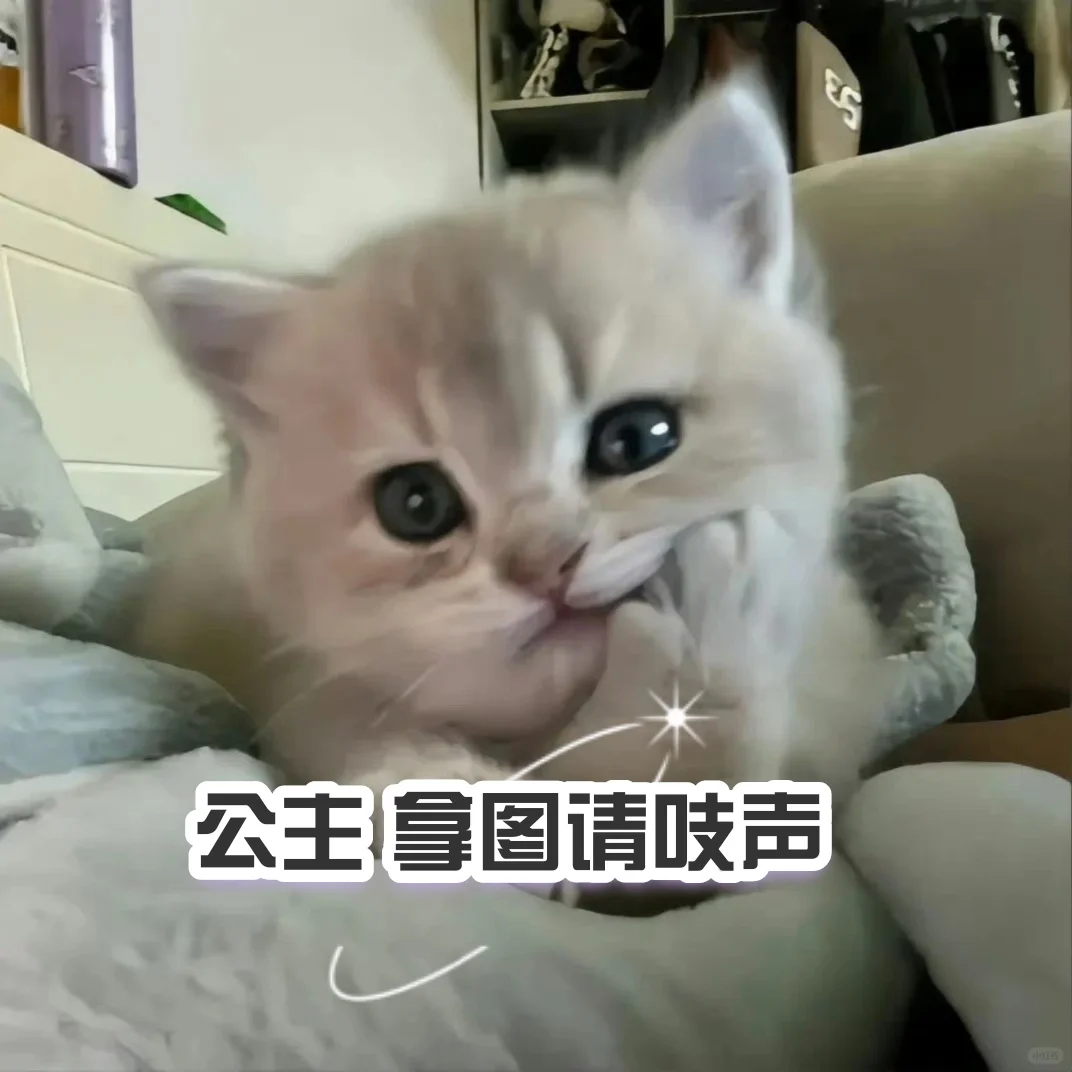 壁纸来咯！
