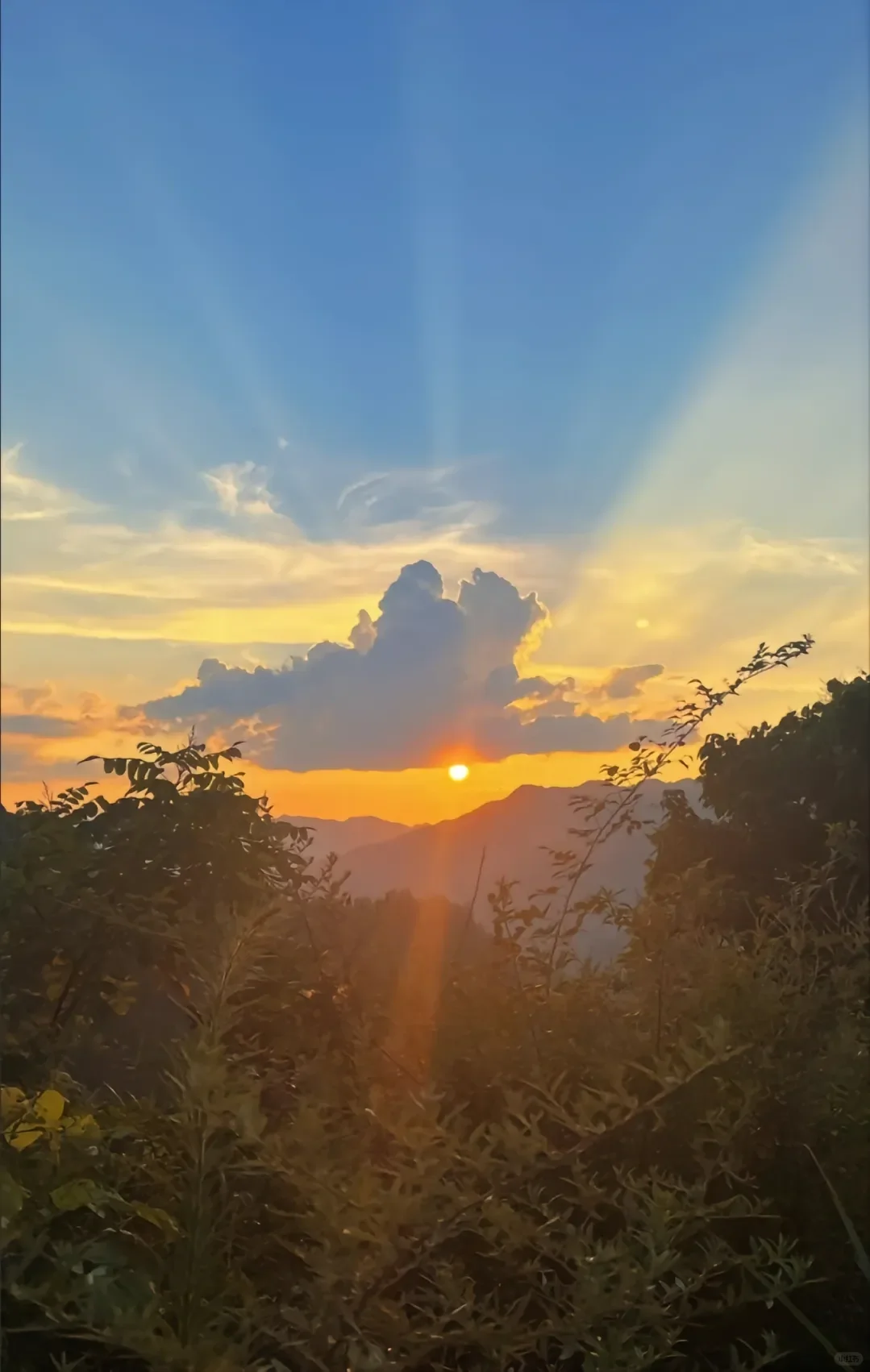 我妈住院花了五万。我哥在外地，回不来，让我照顾妈。昨天出院时，我哥跟我说：妹啊，