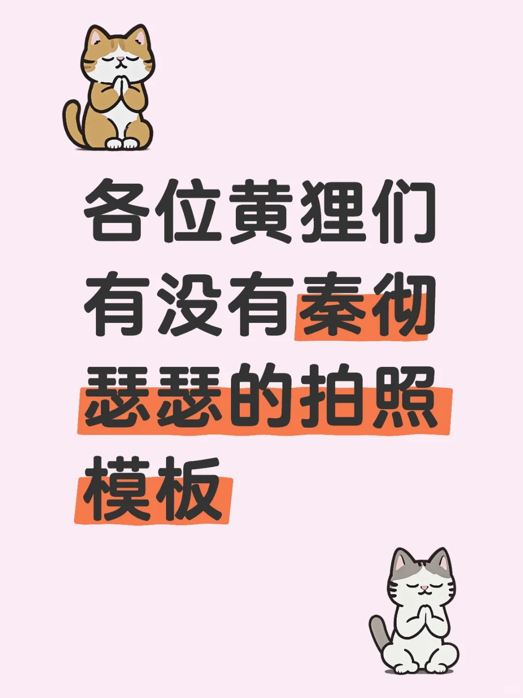 突然迷上了拍照
