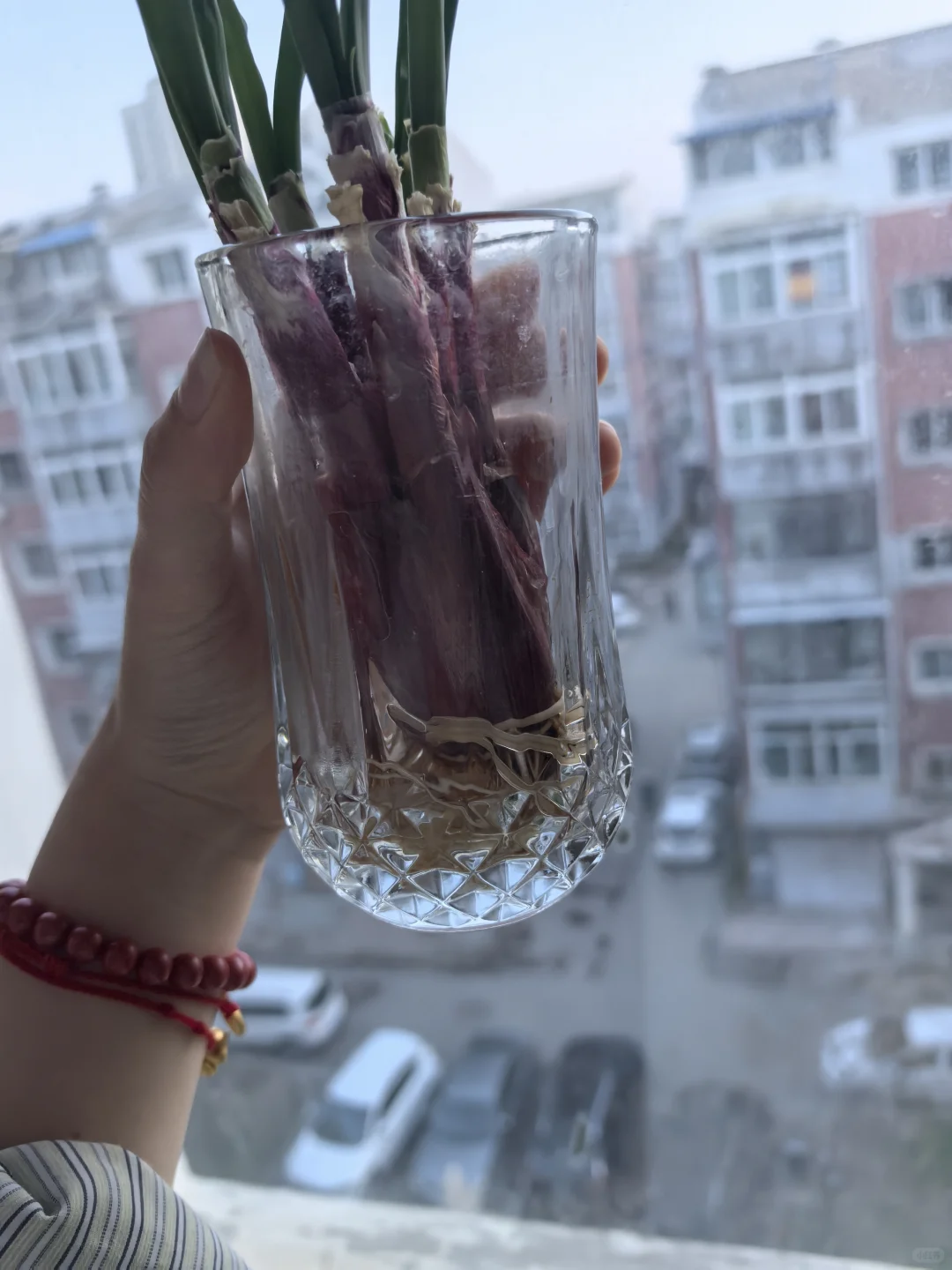 青春女研再次被七旬老太制裁
