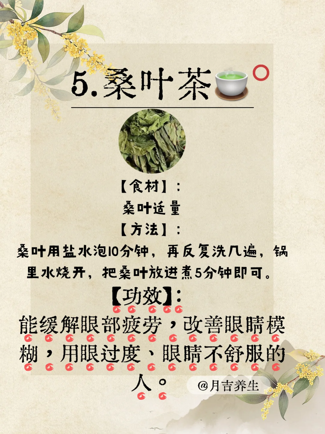 🌟【每天一杯桑叶水，养生女孩的天然秘籍！】🍃