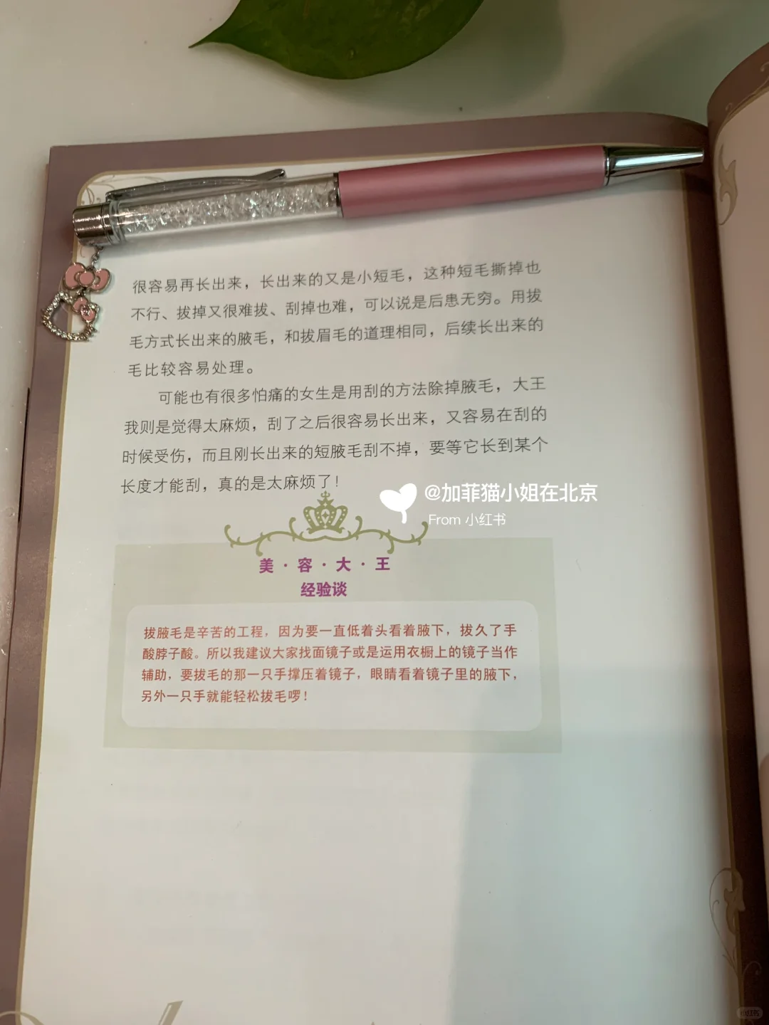 大S美容笔记《美足篇》❗️