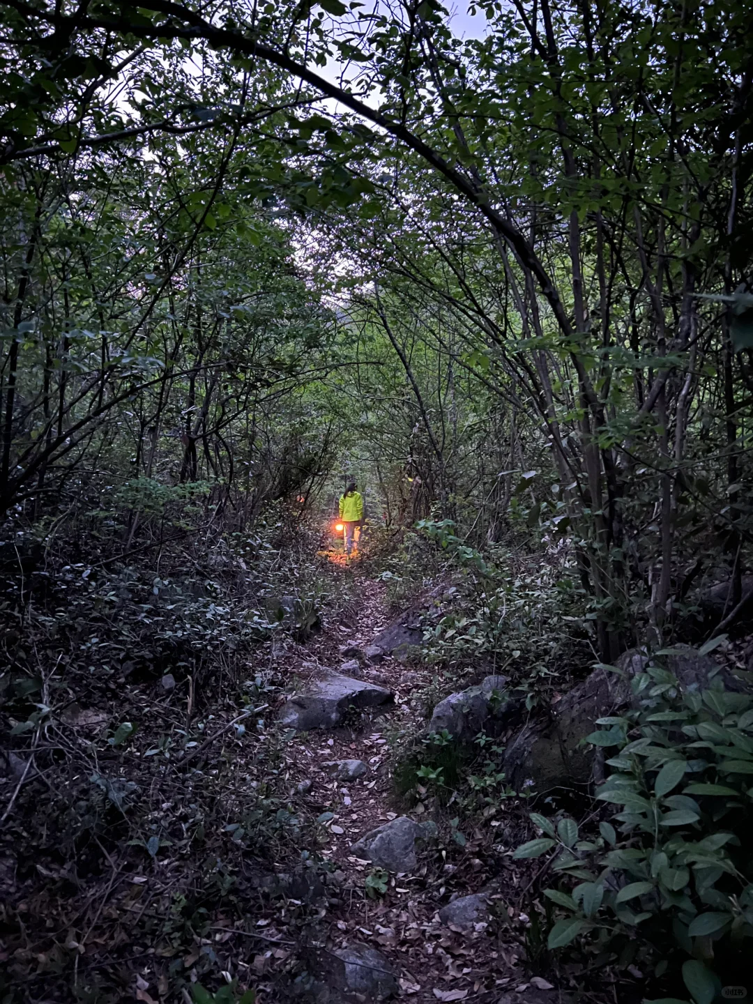 女生隐居深山，在大自然中躺平的生活