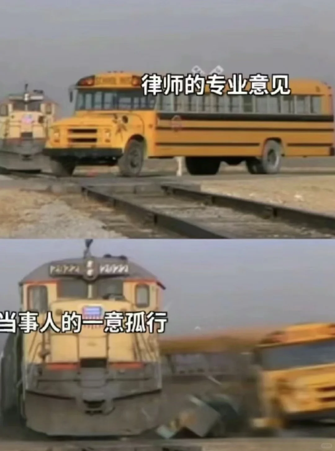一些法律人才懂的表情包