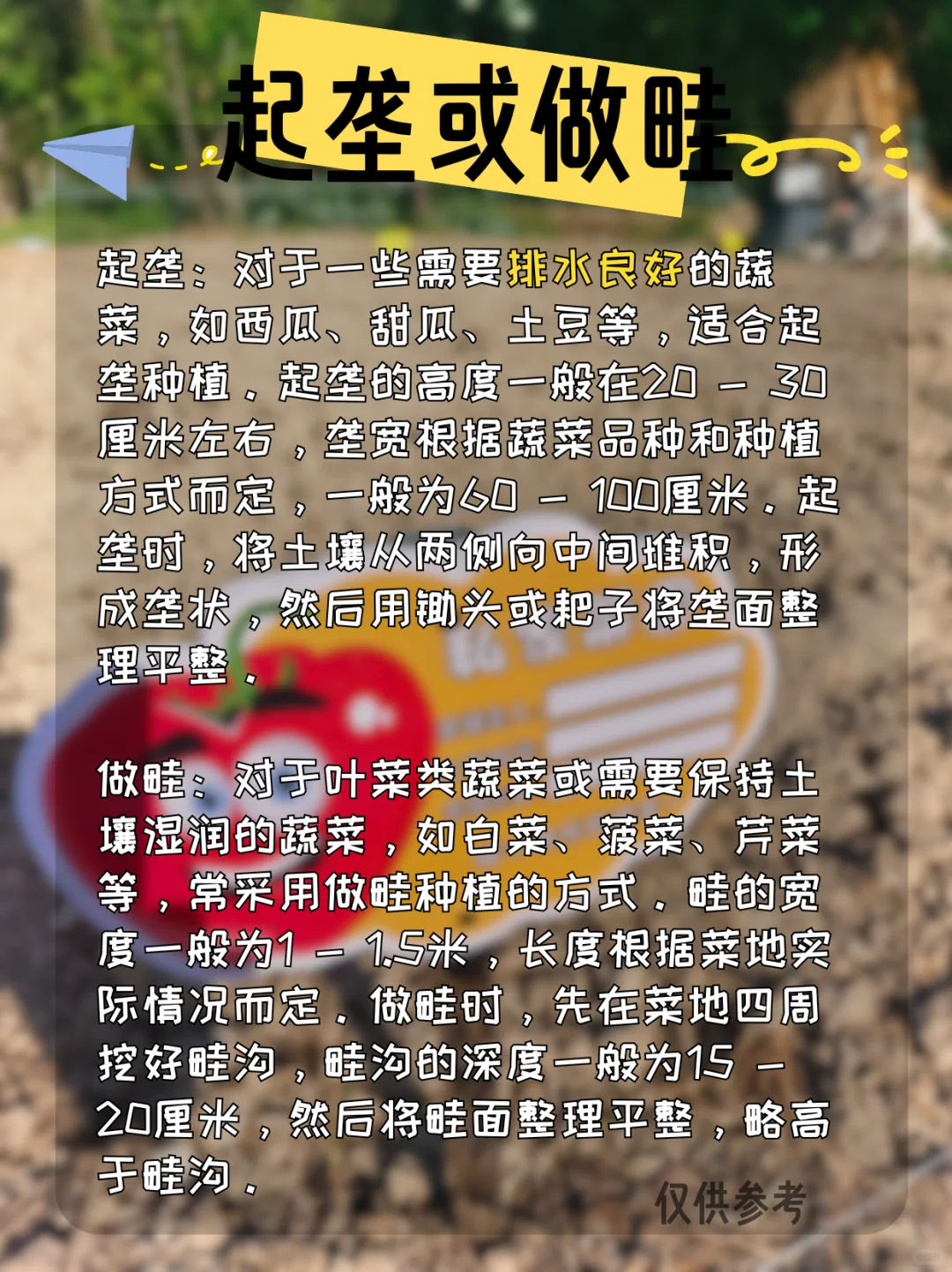 ❗新手种地全流程｜从开荒到丰收6步搞定