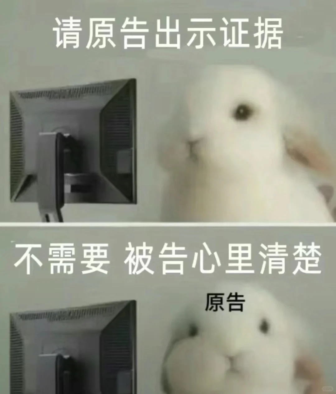 一些法律人才懂的表情包