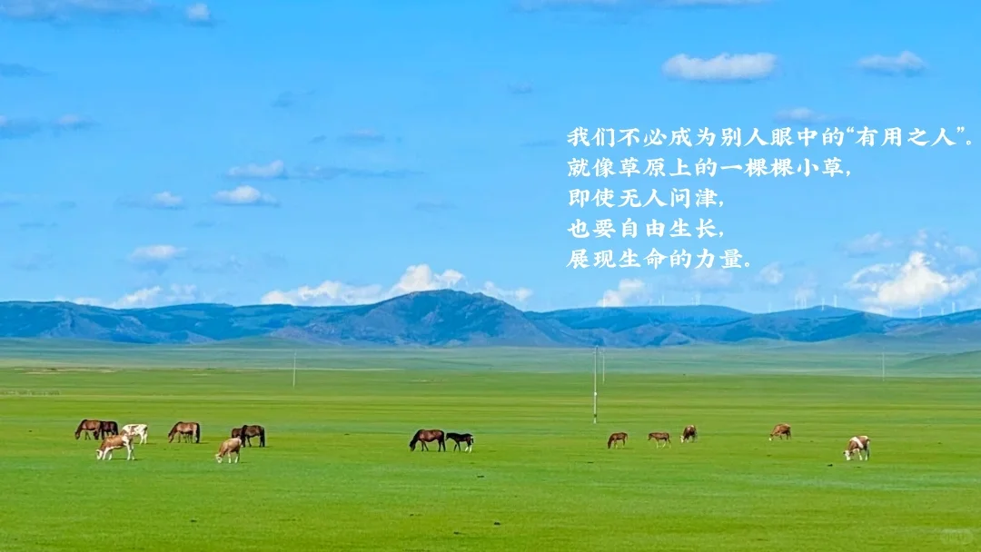 教室一体机壁纸4