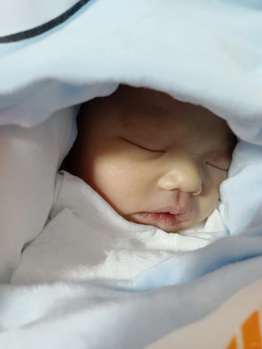 生了一个女鹅可以停下来恭喜我吗