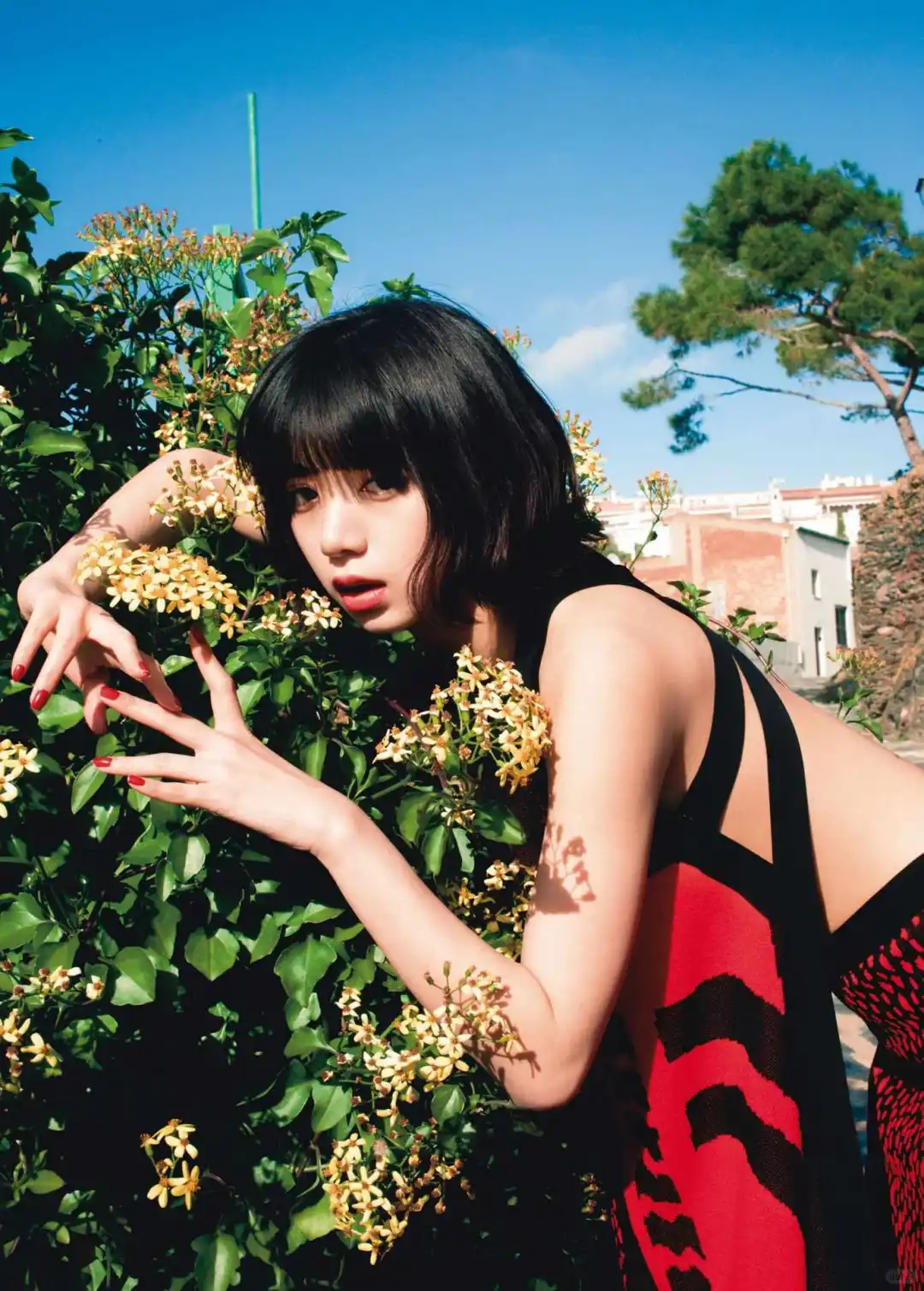 审美积累｜池田依来沙写真集pinturita