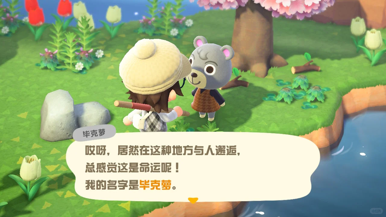 接到了梦中情熊