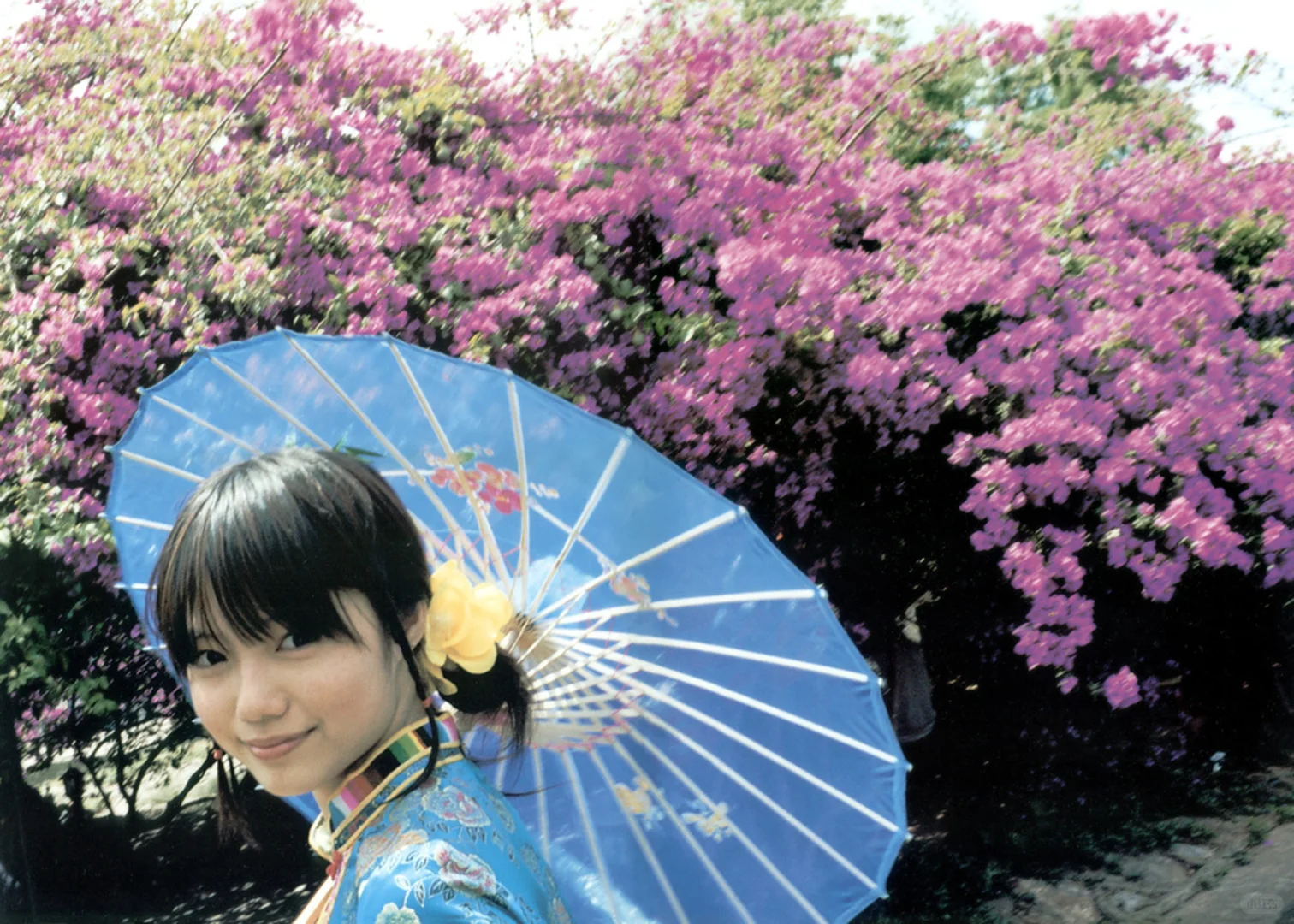 宫崎葵写真集 20TH ANNIVERSARY 「光」