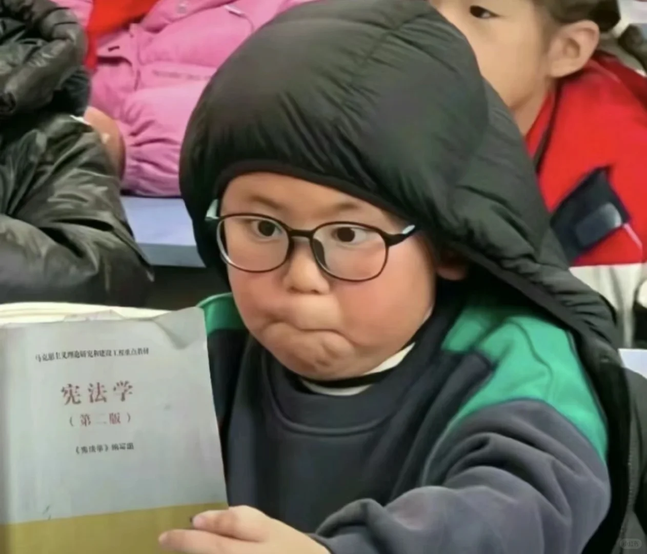 一些法律人才懂的表情包