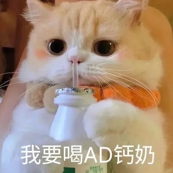 小猫会永远爱你哦