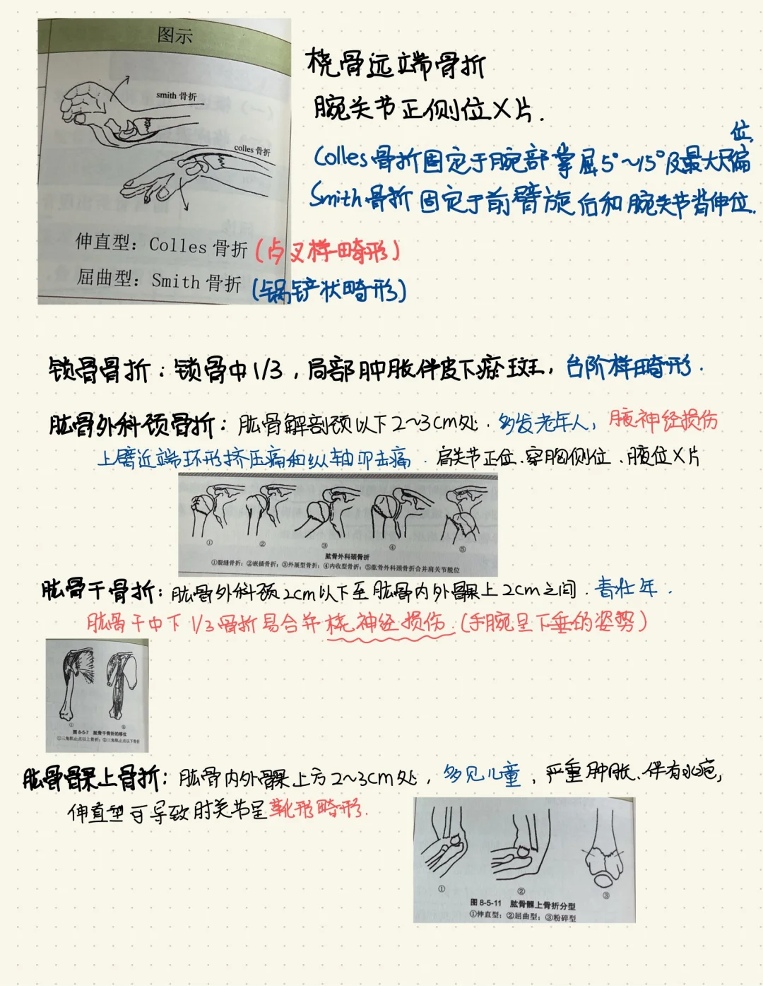 规培结业考复习