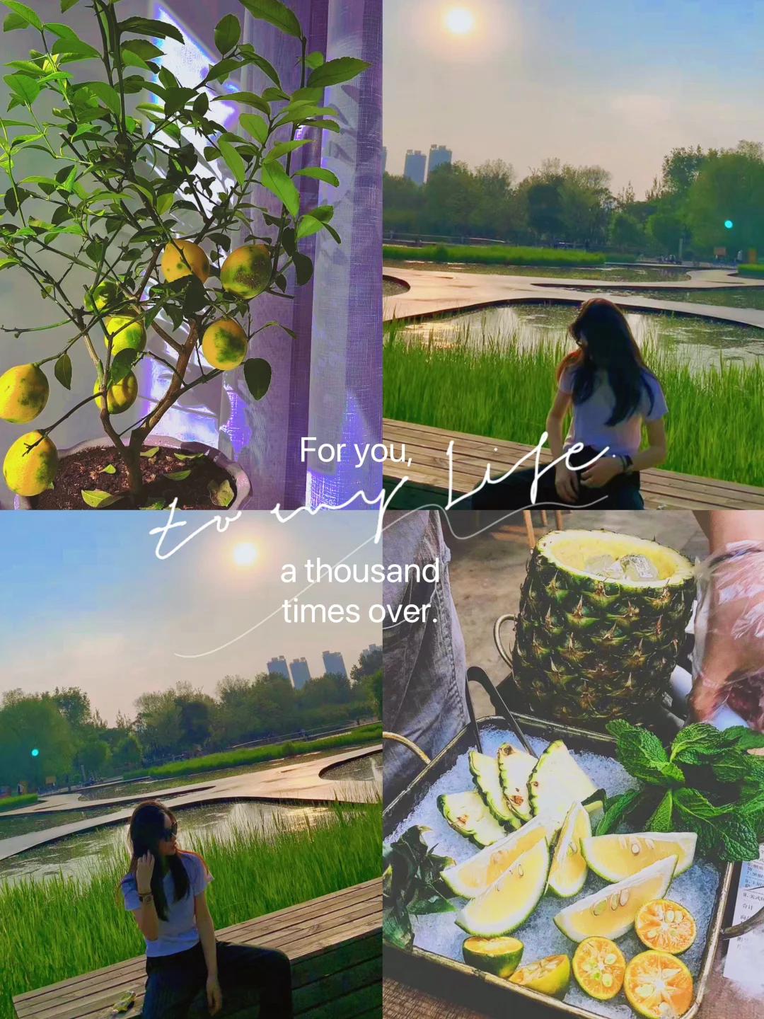 (⑉• •⑉)♡💚人生建议∶禁止焦绿🍀