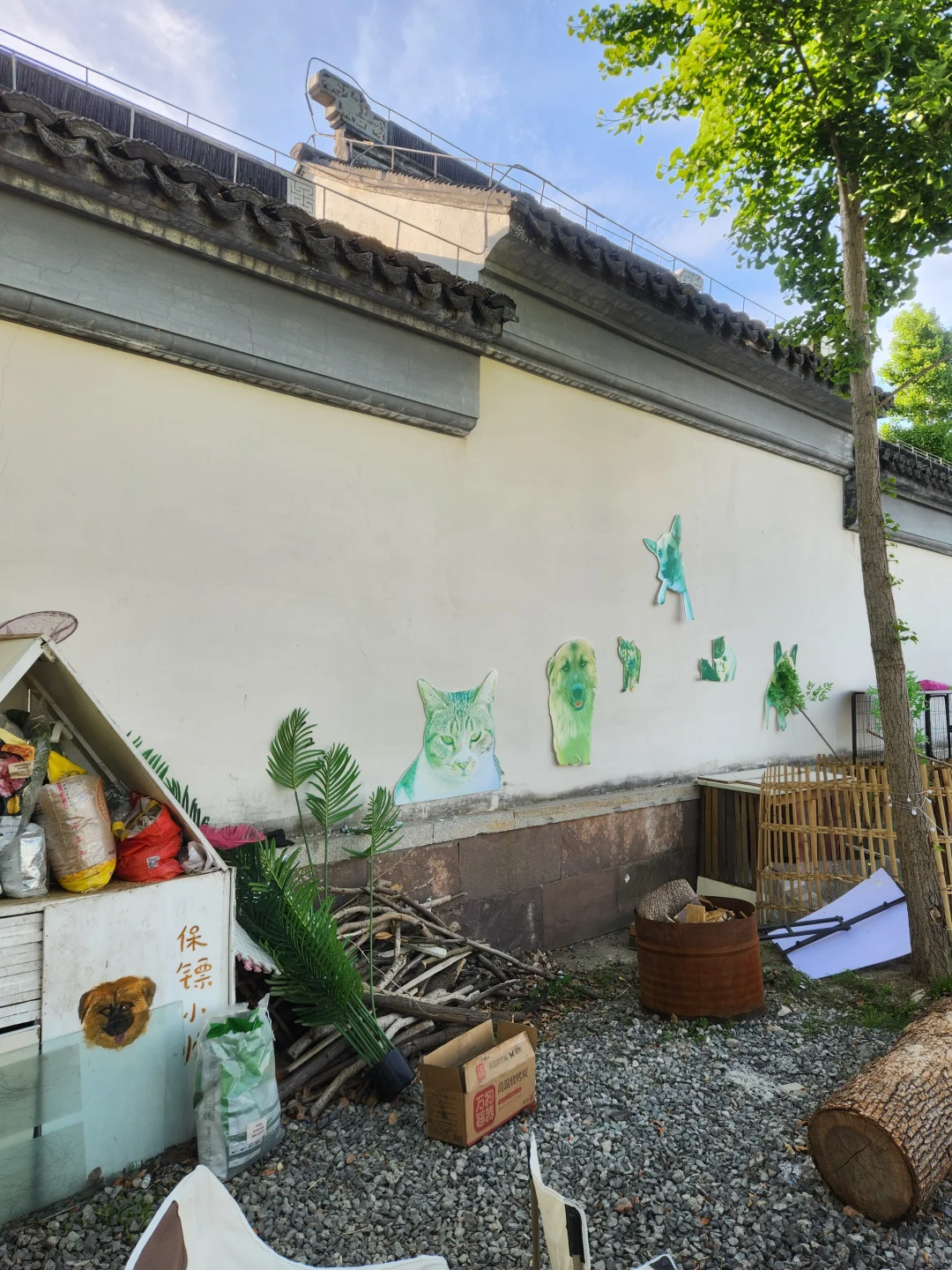 上海｜小狗这样盯着我… 我无力抵抗