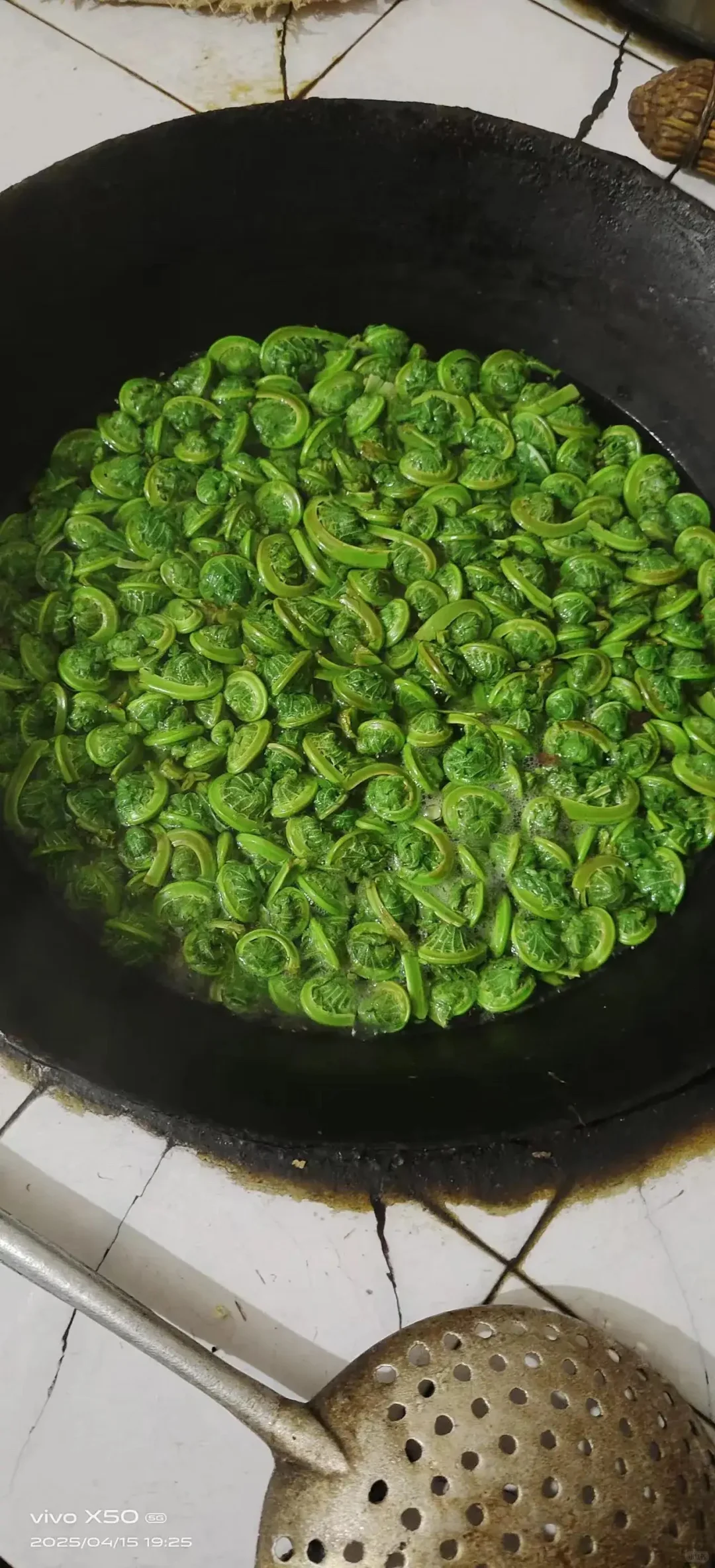 谁见过这个野菜