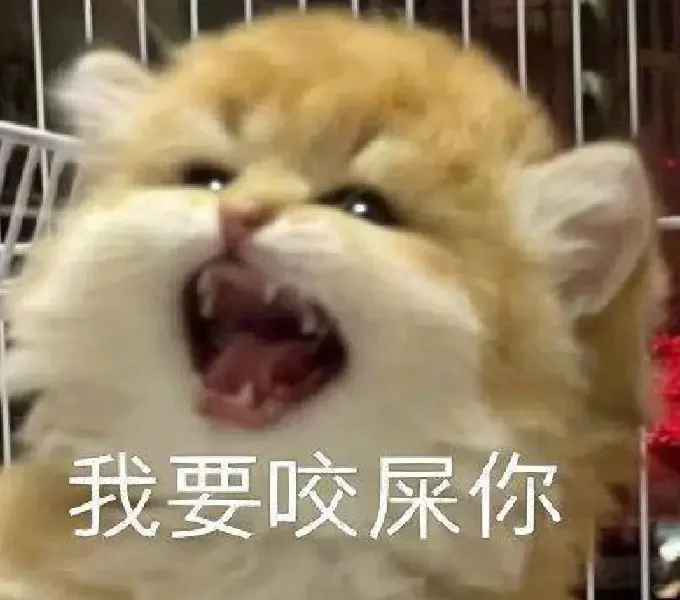 明天靠祖宗休息一天
