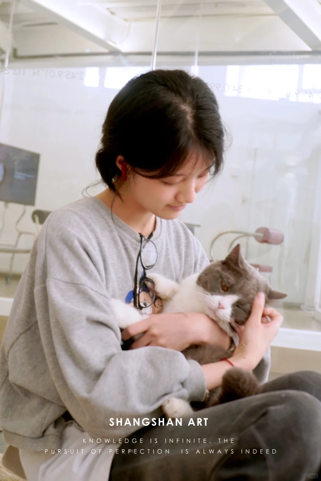 傲娇社会猫和憨憨文科猫被女高中生收服