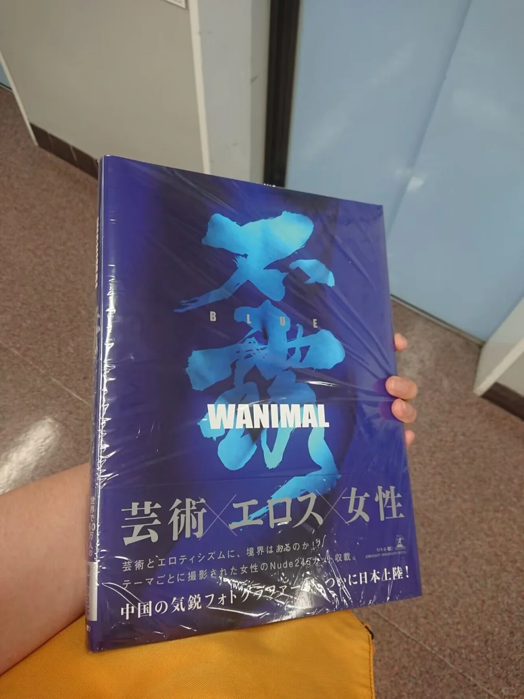王动摄影写真集艺术转让