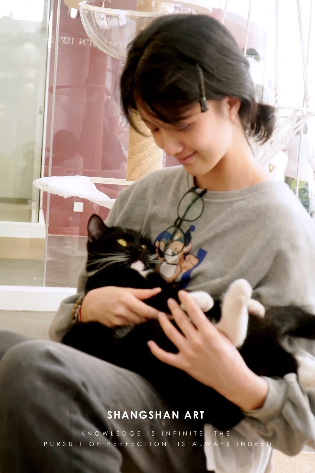 傲娇社会猫和憨憨文科猫被女高中生收服