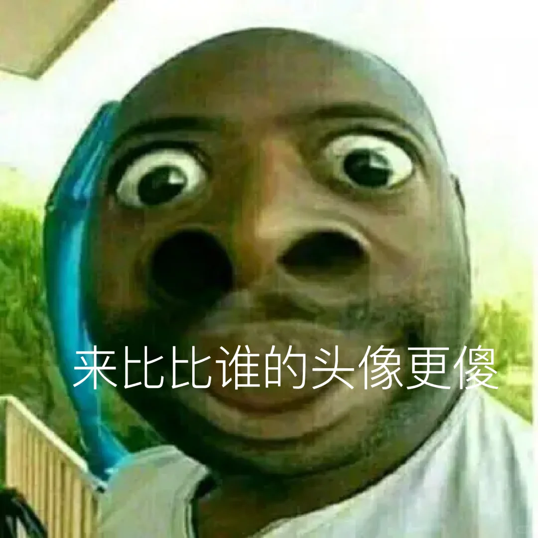 来比比谁的头像更傻