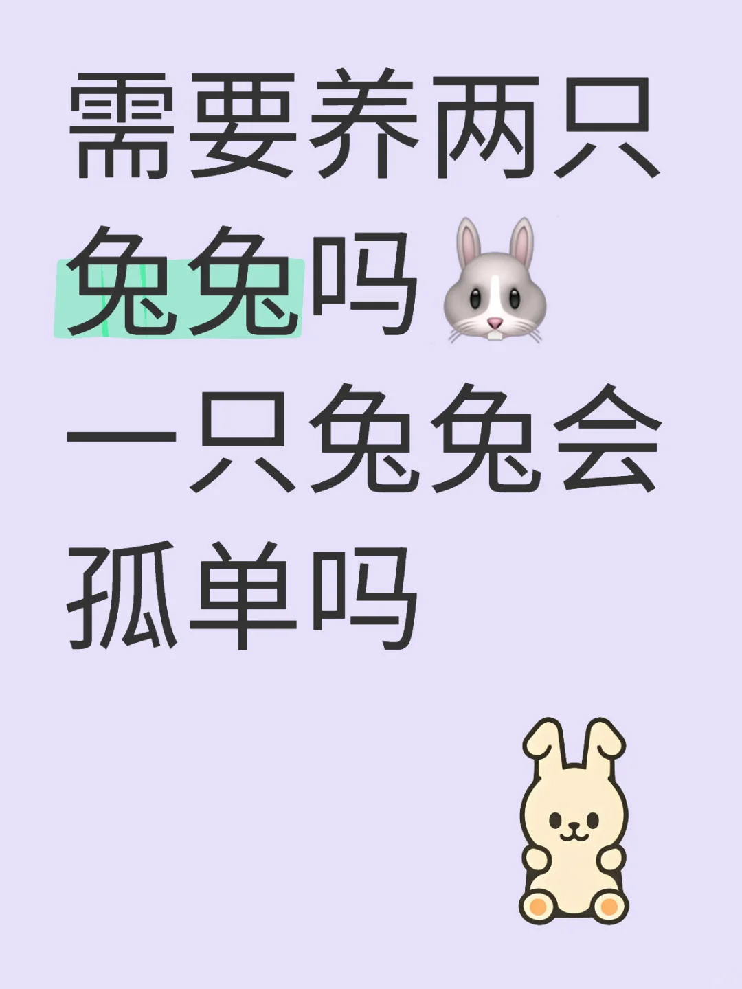 要养两只兔子吗