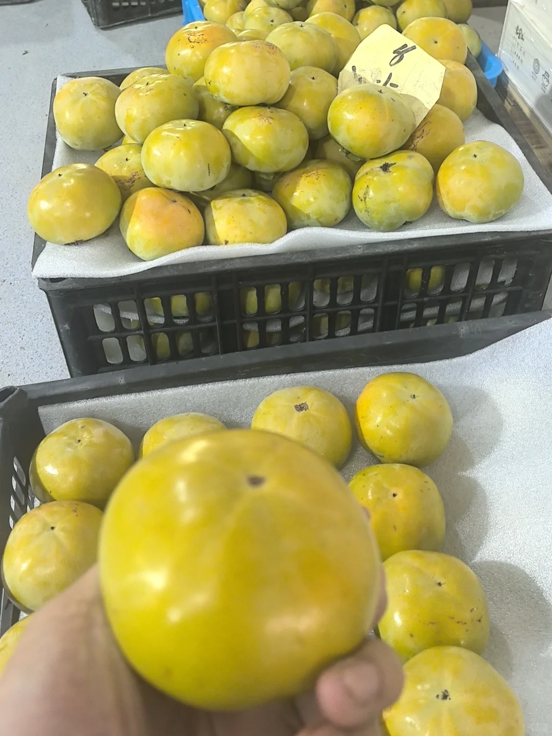 😍真的是一箱一箱的炫它！脆甜一点不涩口